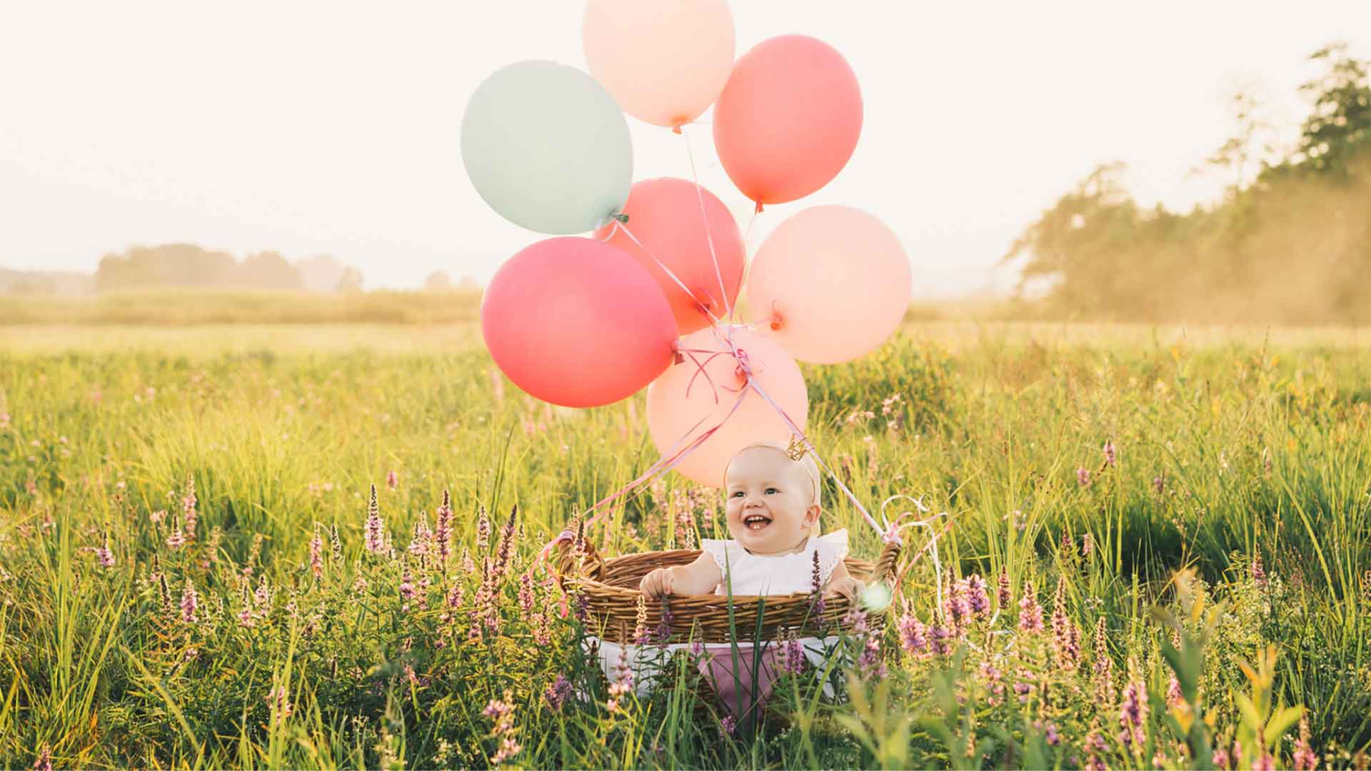 Balloons in a meadow